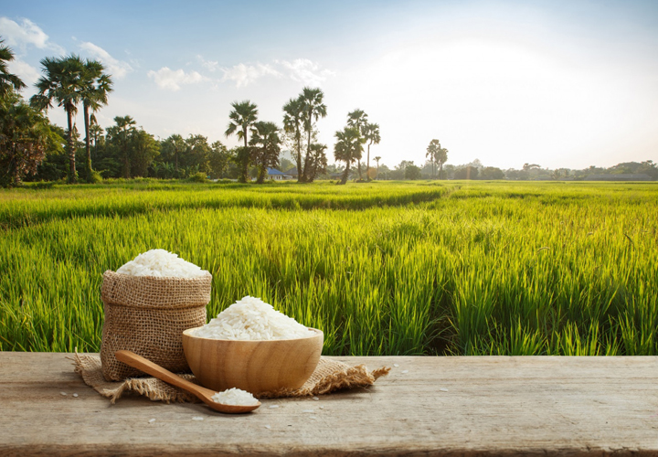 കോവിഡ് കാലത്തും അരി ബസ്മതി തന്നെ!; ബസ്മതി അരിയുടെ കയറ്റുമതിയിൽ വൻ വർധന; ആവശ്യത്തിന് പിന്നിൽ കോവിഡിനൊപ്പം റമദാനും