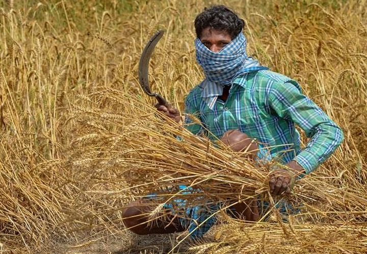 
                  ഖനന-കാര്‍ഷിക മേഖലകള്‍ ഇന്ത്യന്‍ സമ്പദ് വ്യവസ്ഥയെ തുണച്ചു; തകര്‍ച്ച നേരിടുന്ന മേഖലകള്‍ ഏതൊക്കെ?